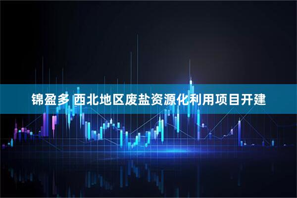 锦盈多 西北地区废盐资源化利用项目开建