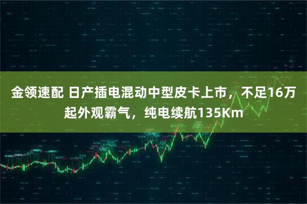 金领速配 日产插电混动中型皮卡上市，不足16万起外观霸气，纯电续航135Km