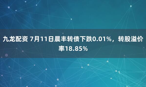 九龙配资 7月11日晨丰转债下跌0.01%，转股溢价率18.85%