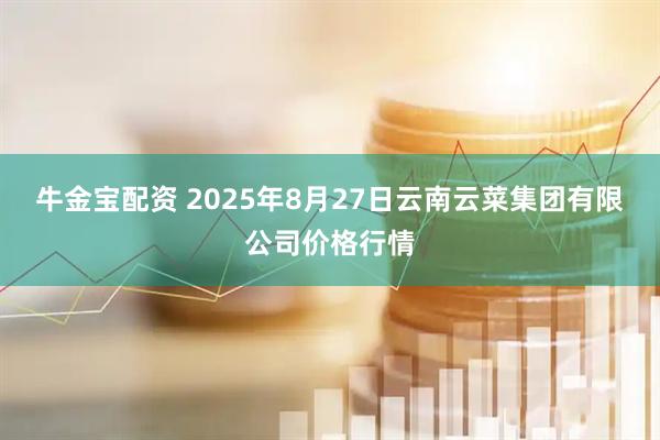 牛金宝配资 2025年8月27日云南云菜集团有限公司价格行情