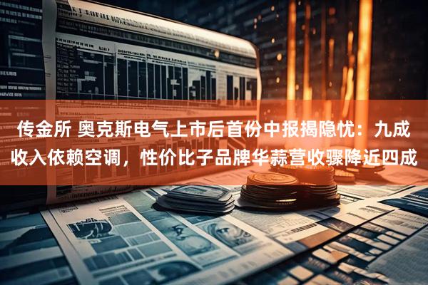 传金所 奥克斯电气上市后首份中报揭隐忧：九成收入依赖空调，性价比子品牌华蒜营收骤降近四成