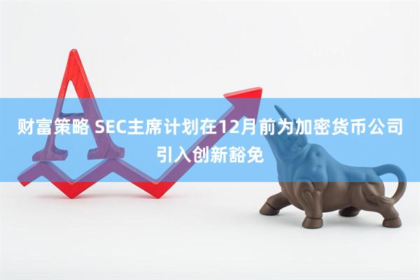 财富策略 SEC主席计划在12月前为加密货币公司引入创新豁免