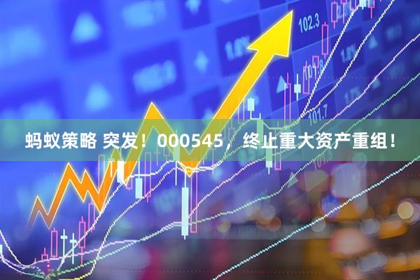 蚂蚁策略 突发！000545，终止重大资产重组！